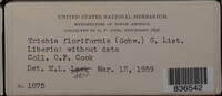 Image Associated With the Occurence